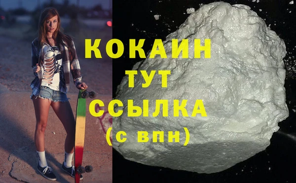 spice Богданович