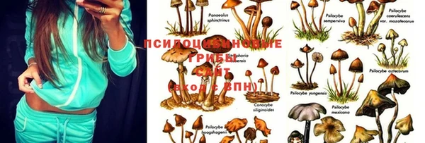 MDMA Premium VHQ Богородск
