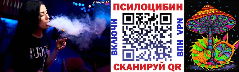 купить  цена  маркетплейс Telegram  Псилоцибиновые грибы GOLDEN TEACHER  Дзержинск 